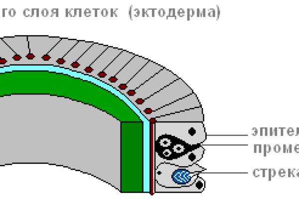 Омг сайт анонимных покупок для айфона