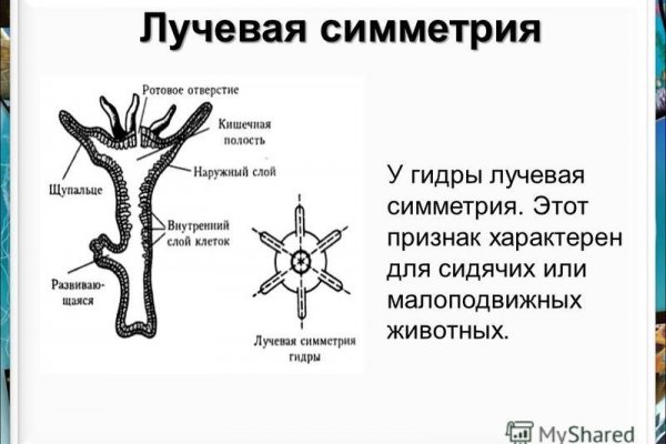 Что такое блэкспрут сайт